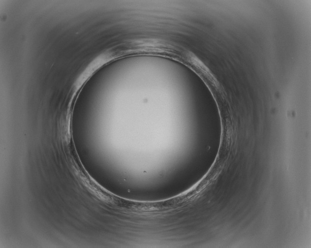 X0000086061370200703301030