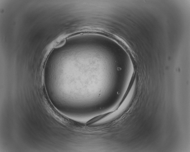 X0000086061371200703301030