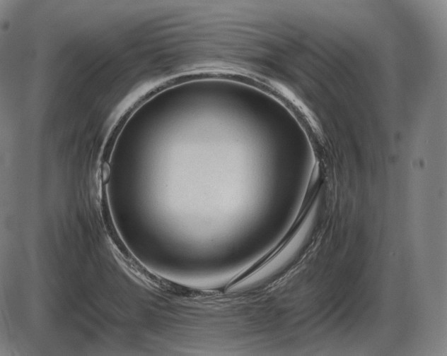 X0000086061372200703301030