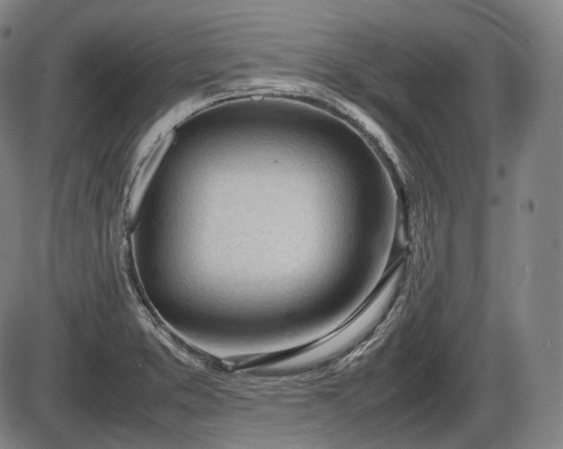 X0000086061373200703301030