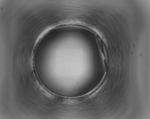 X0000086061374200703301030