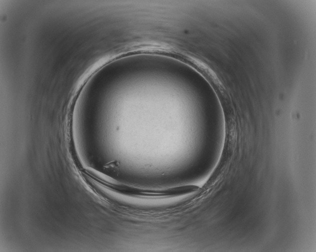 X0000086061375200703301030