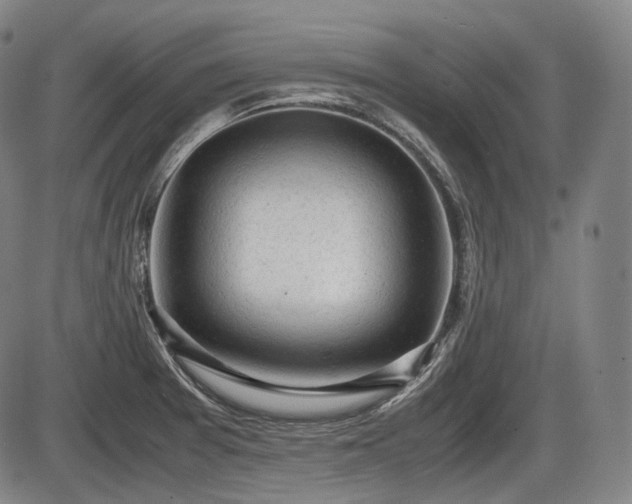 X0000086061377200703301030