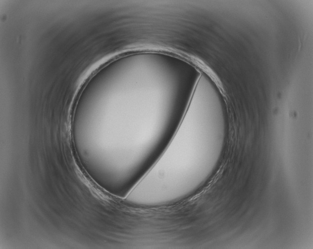 X0000086061380200703301030