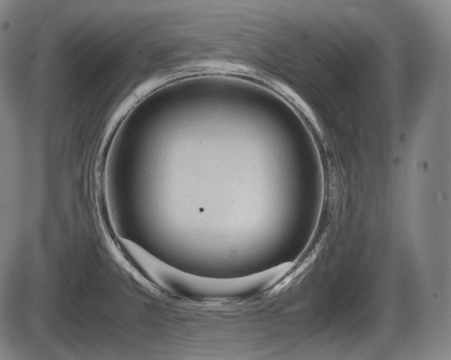 X0000086061381200703301030