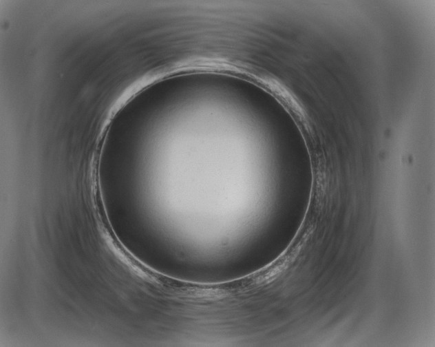 X0000086061382200703301030