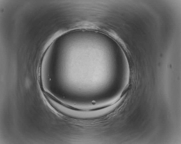 X0000086061383200703301030