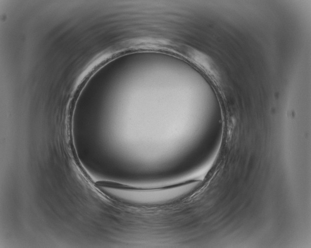 X0000086061384200703301030