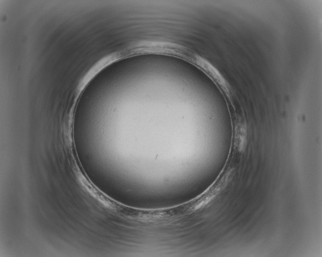 X0000086061386200703301030