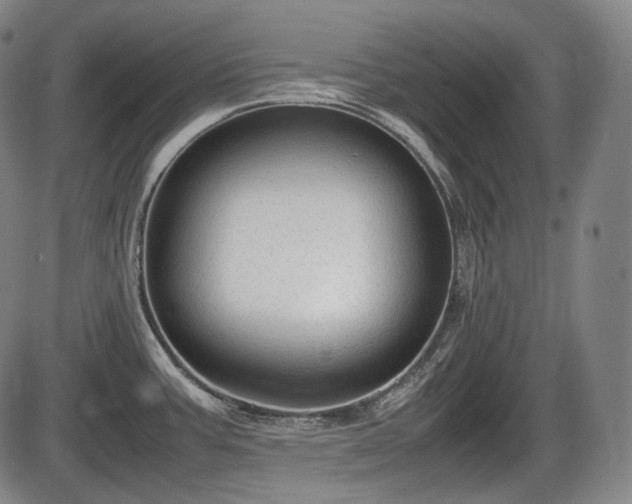 X0000086061387200703301029