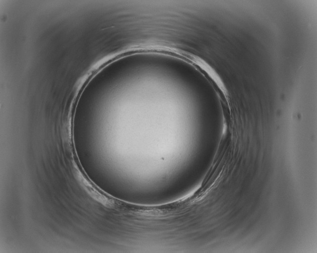 X0000086061388200703301029