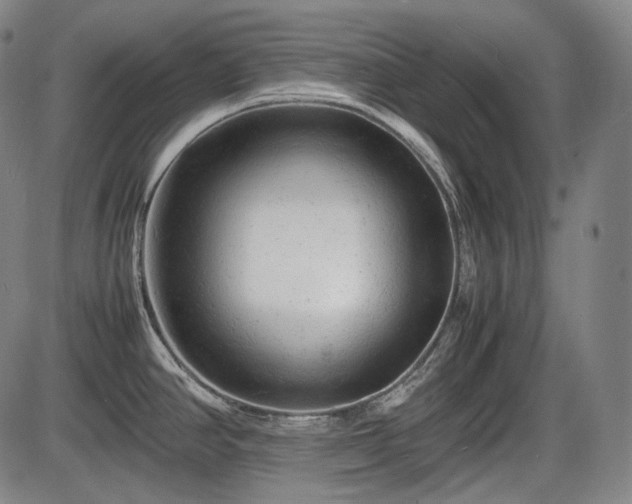 X0000086061390200703301029