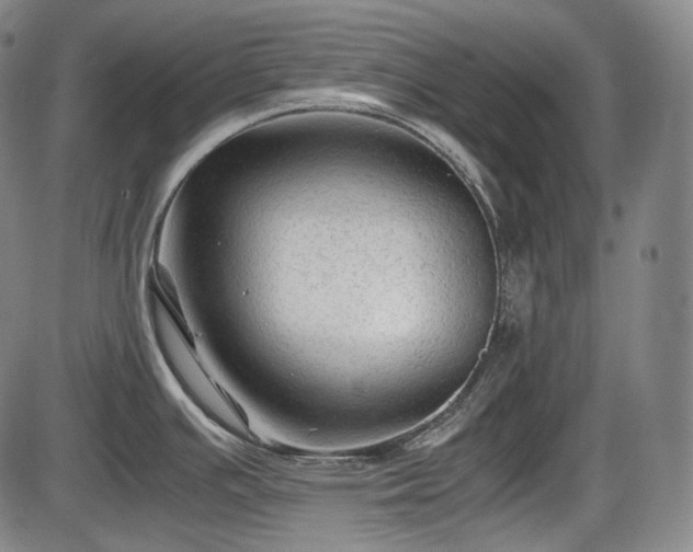 X0000086061391200703301029