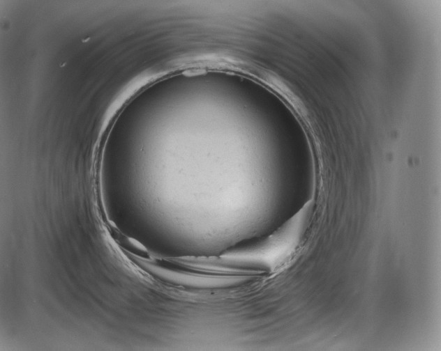 X0000086061392200703301029