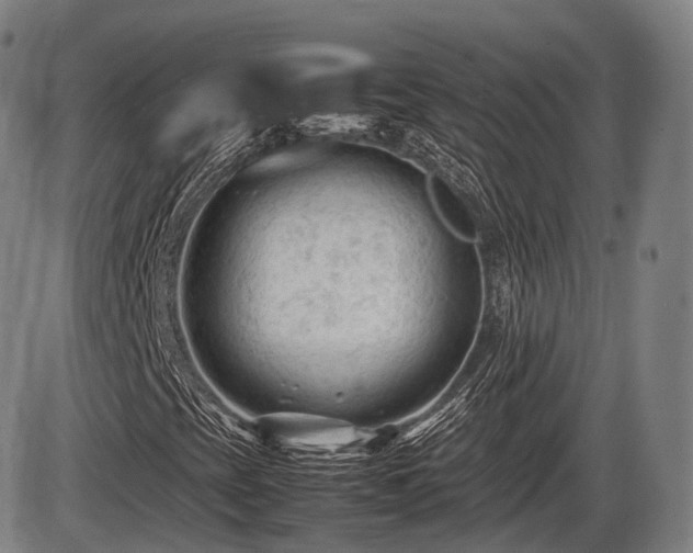 X0000086061393200703301029