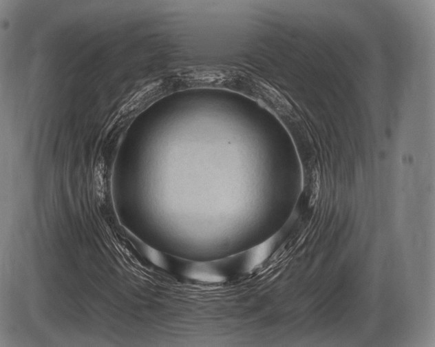 X0000086061394200703301029