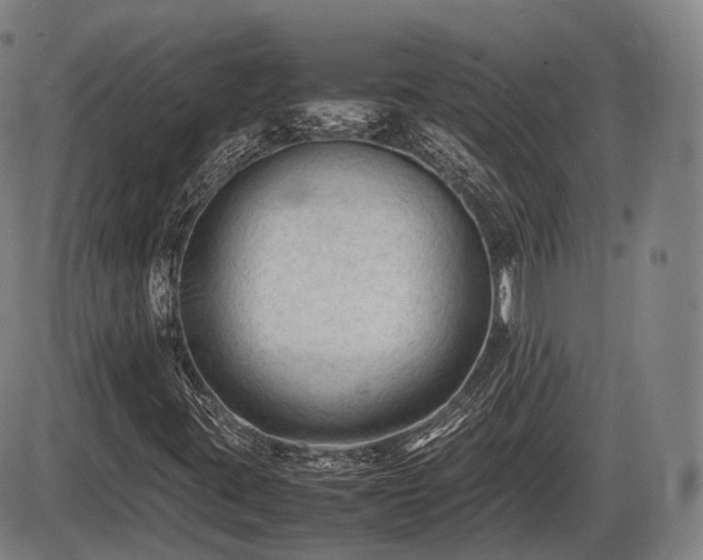 X0000086061395200703301029