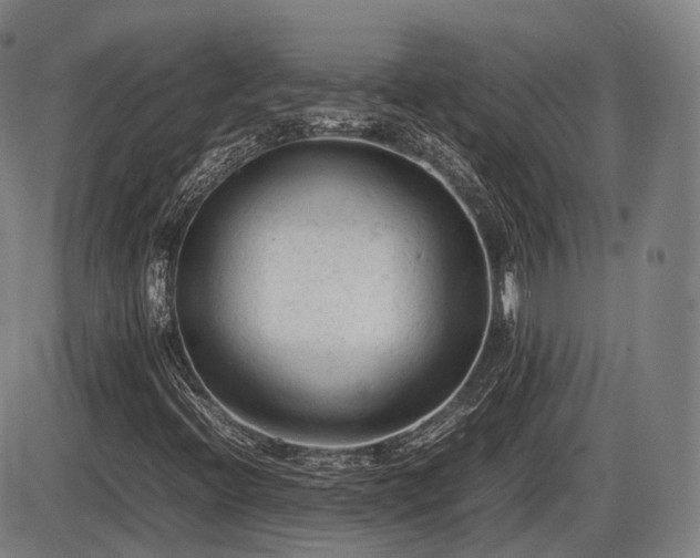 X0000086061396200703301029