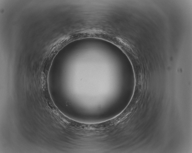 X0000086061398200703301029