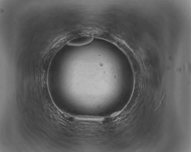 X0000086061399200703301029