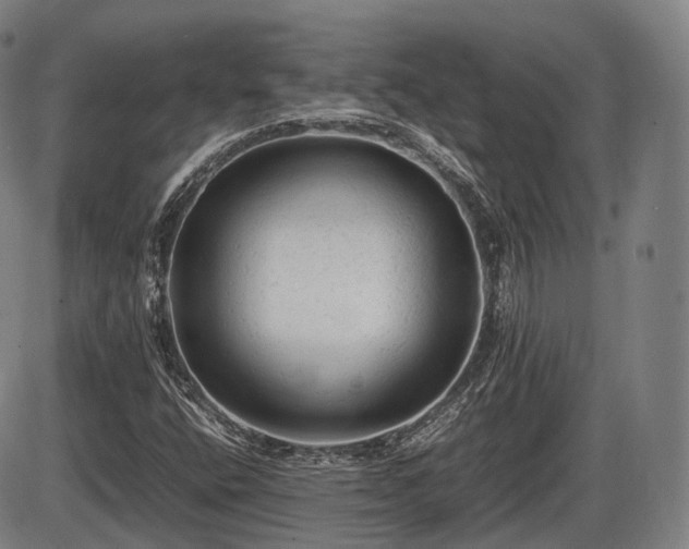 X0000086061400200703301029