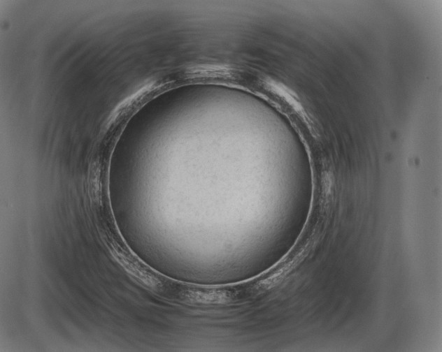 X0000086061403200703301029