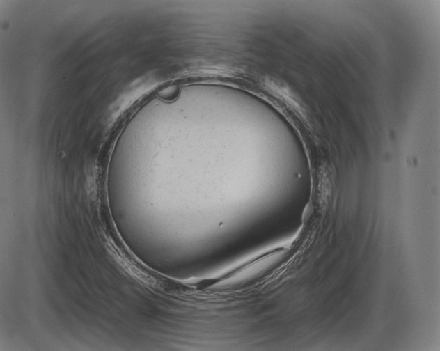 X0000086061404200703301029