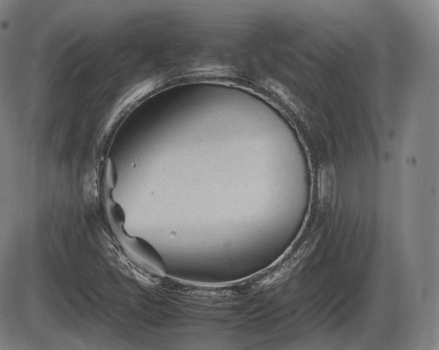 X0000086061405200703301029