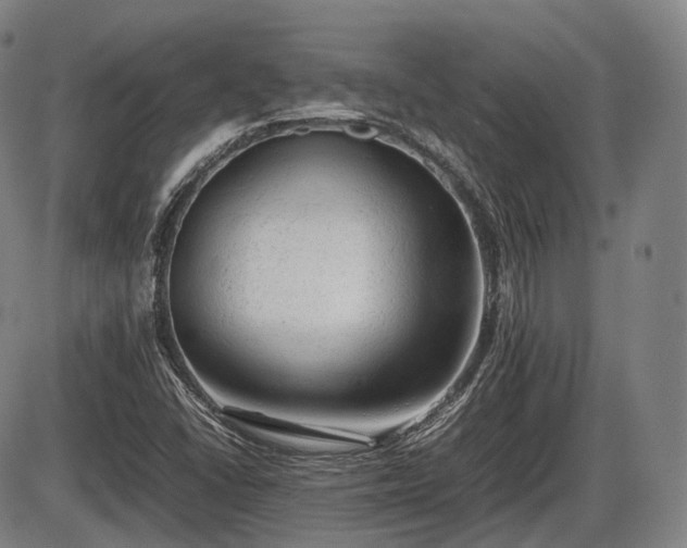 X0000086061406200703301029