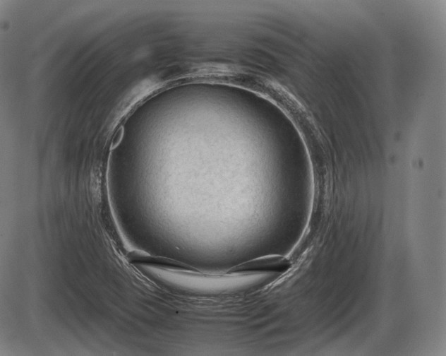 X0000086061409200703301029