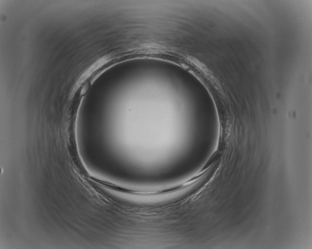 X0000086061410200703301029