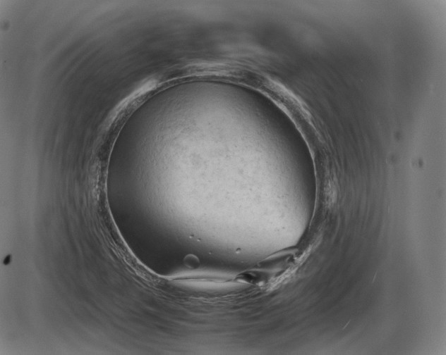 X0000086061411200703301029