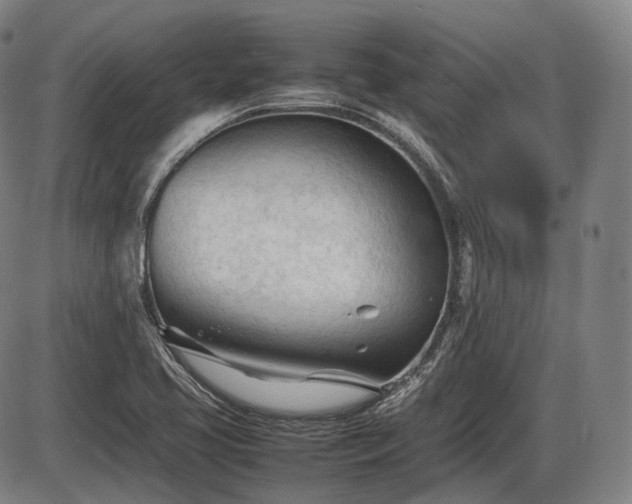 X0000086061413200703301029