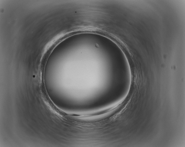 X0000086061414200703301029