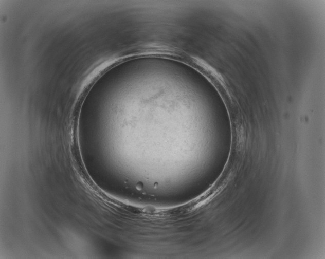 X0000086061415200703301029