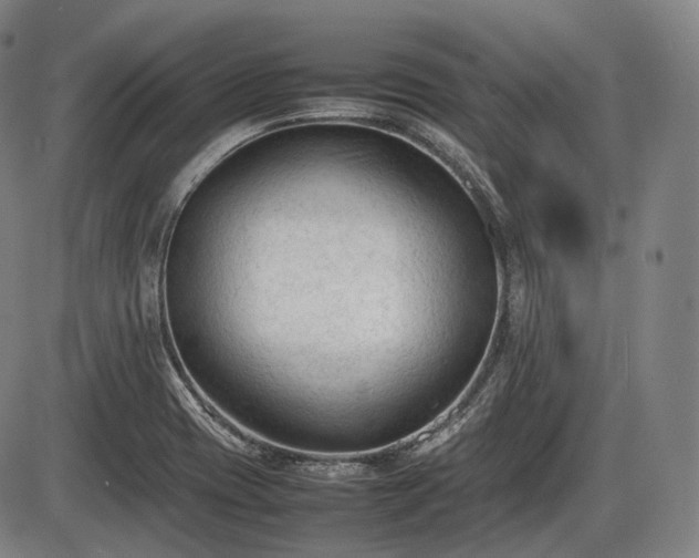 X0000086061417200703301029