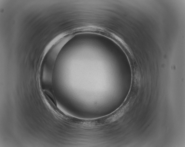 X0000086061418200703301029