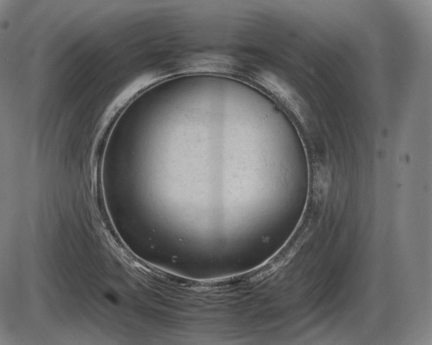 X0000086061419200703301029