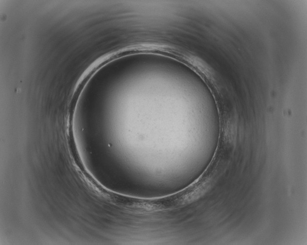 X0000086061420200703301029