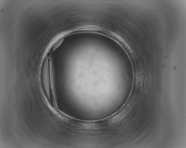 X0000086061421200703301029