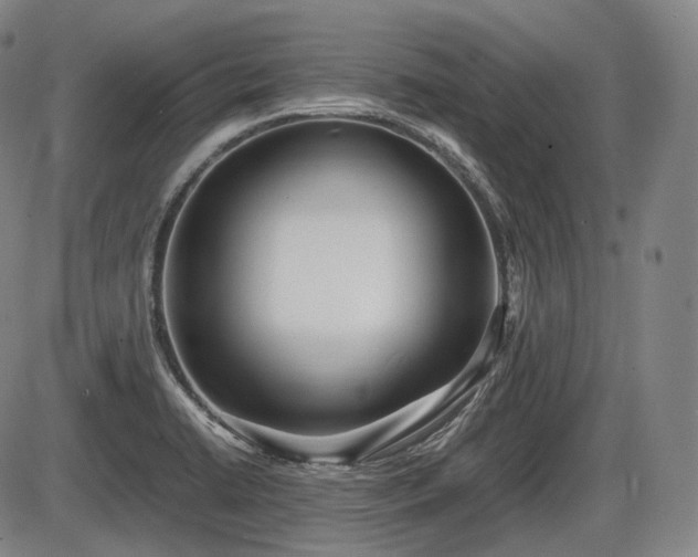 X0000086061422200703301029