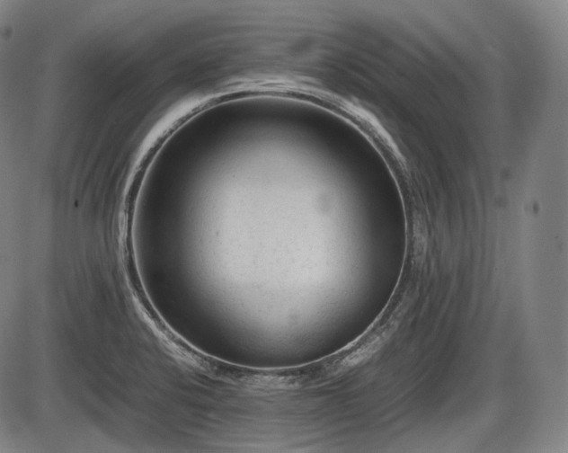 X0000086061424200703301029