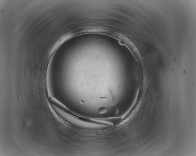 X0000086061425200703301029