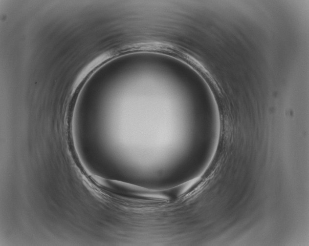 X0000086061426200703301029