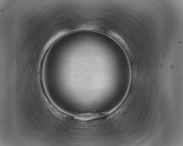 X0000086061427200703301029