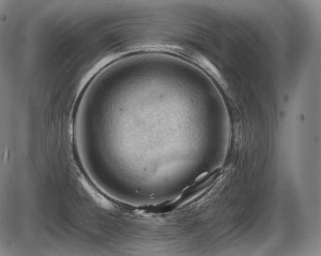 X0000086061428200703301029