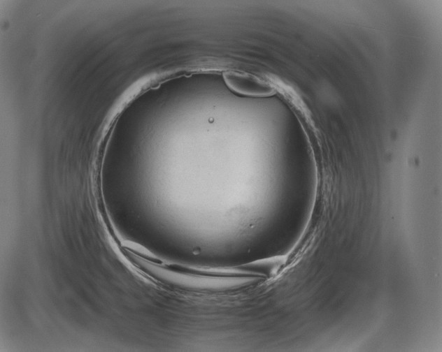 X0000086061429200703301029