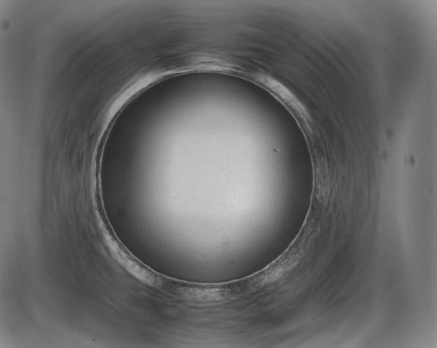 X0000086061431200703301029