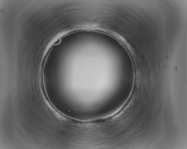 X0000086061432200703301029