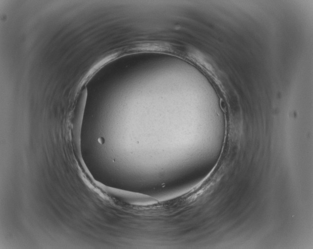 X0000086061433200703301029